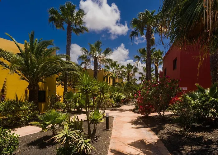 Oasis Vistamar