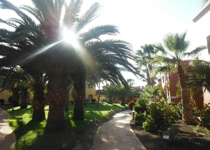 Oasis Vistamar